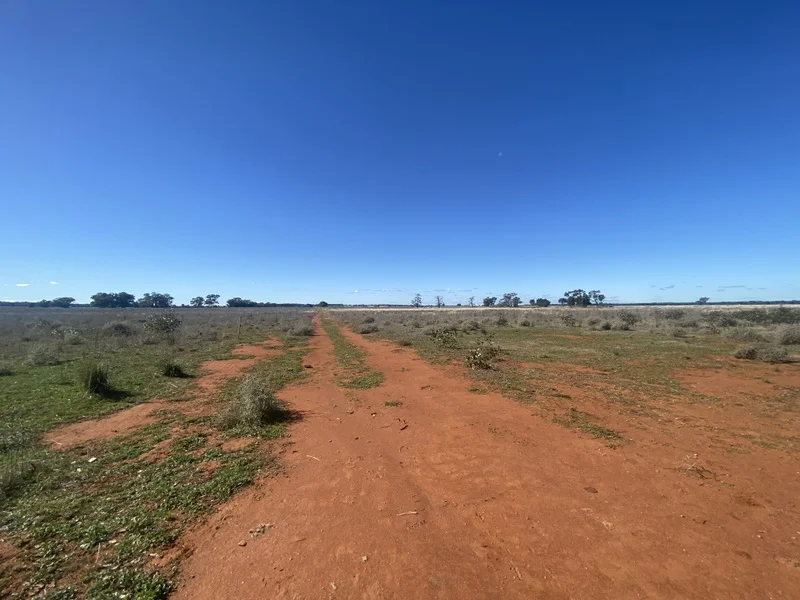 Additional image 2 of 382 Jones Lane, Condobolin NSW 2877