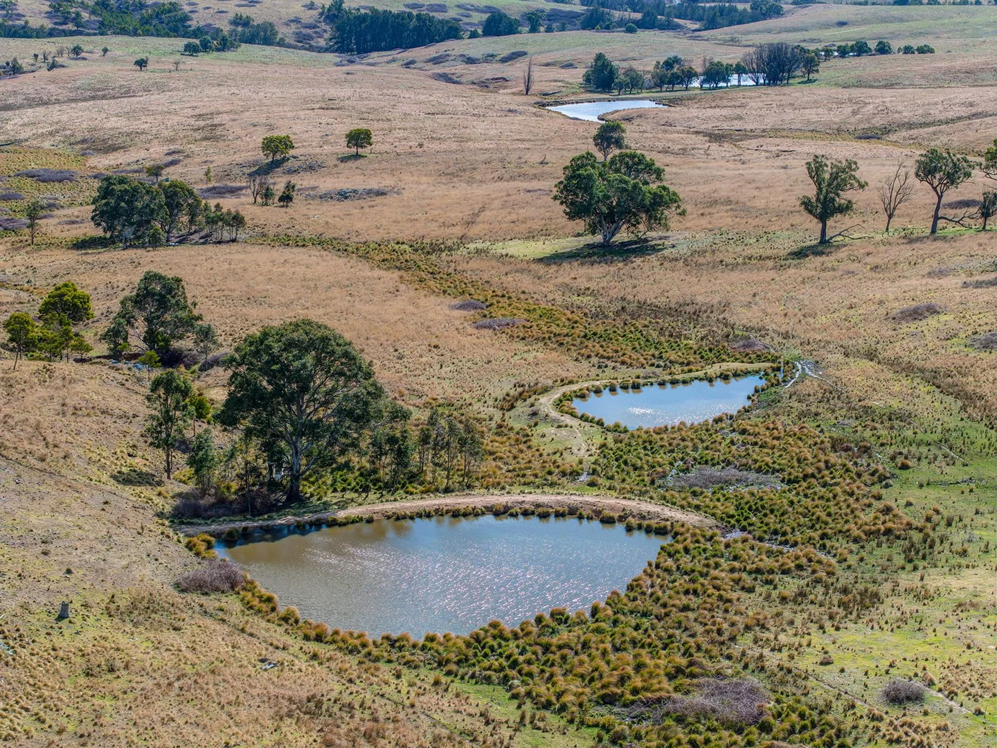 Additional image 20 of 144 Longview Road, Big Hill NSW 2579