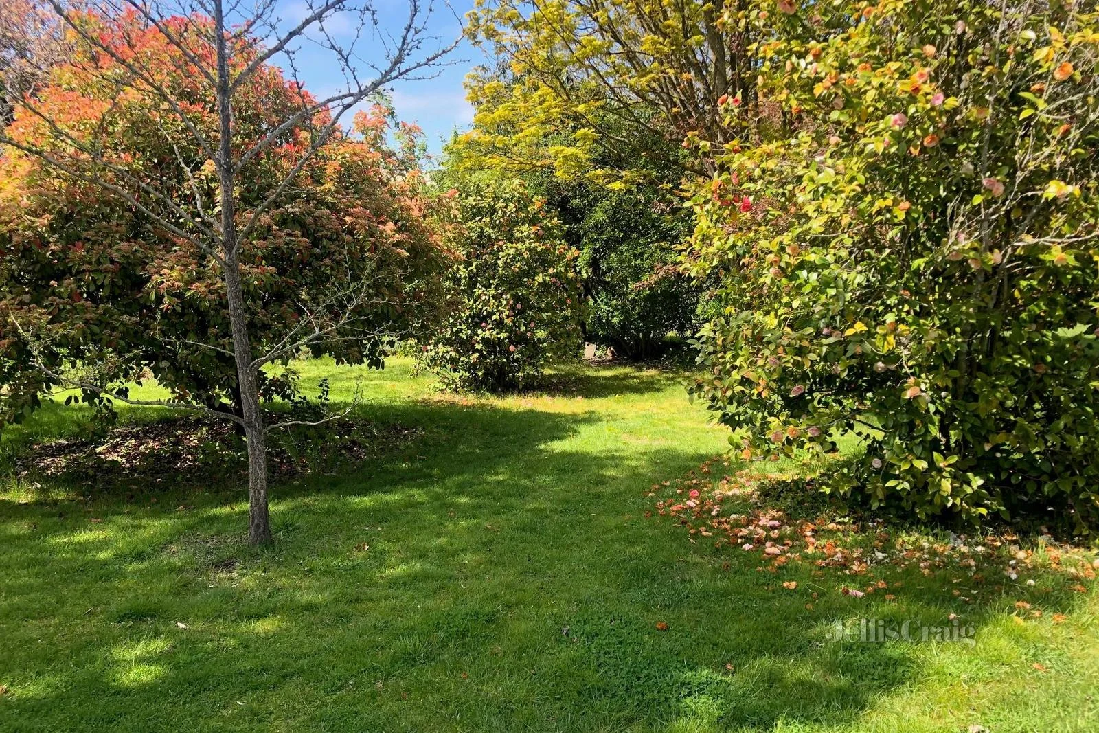 Additional image 9 of 15 Jennings Street, Kyneton VIC 3444