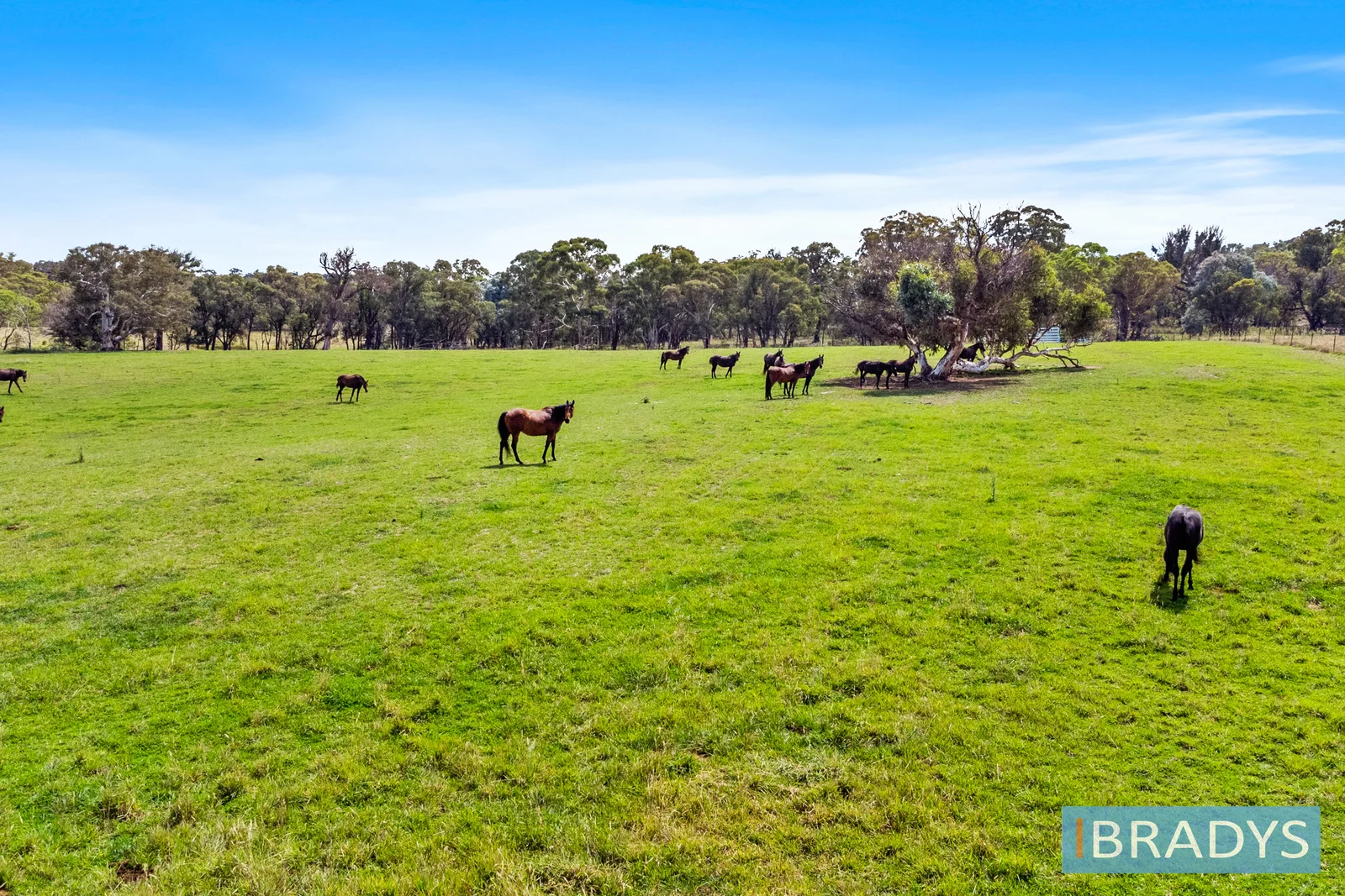 Additional image 4 of 4348 Gundaroo Road, Gundaroo NSW 2620