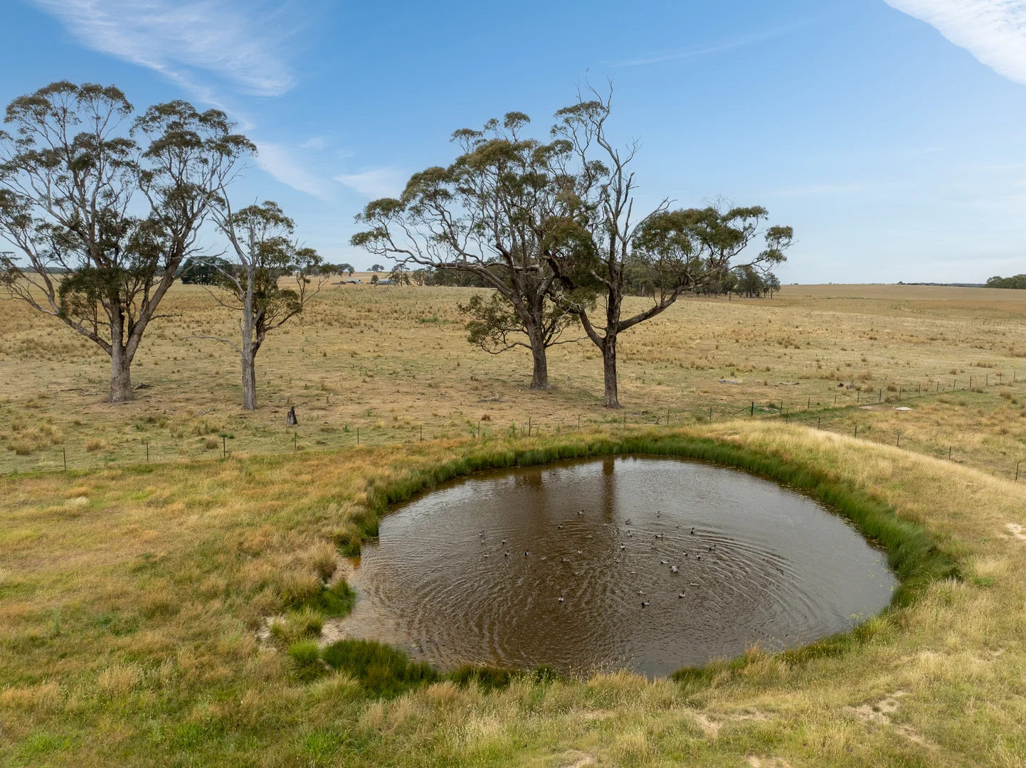 Additional image 55 of 'Top Farm' 1004 Neville-Trunkey Road, Neville NSW 2799