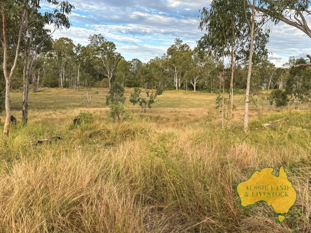 Additional image 48 of 8 SCREENING PLANT ROAD, Cynthia QLD 4627