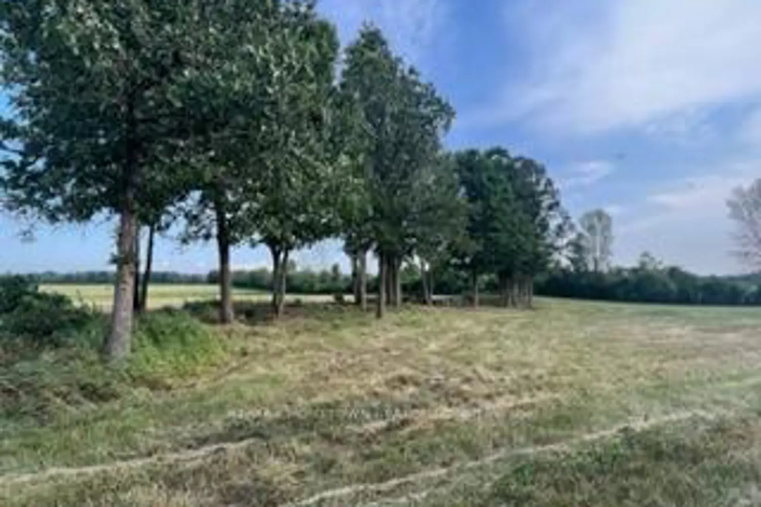 Additional image 20 of 0 Kitley Line 8 Road