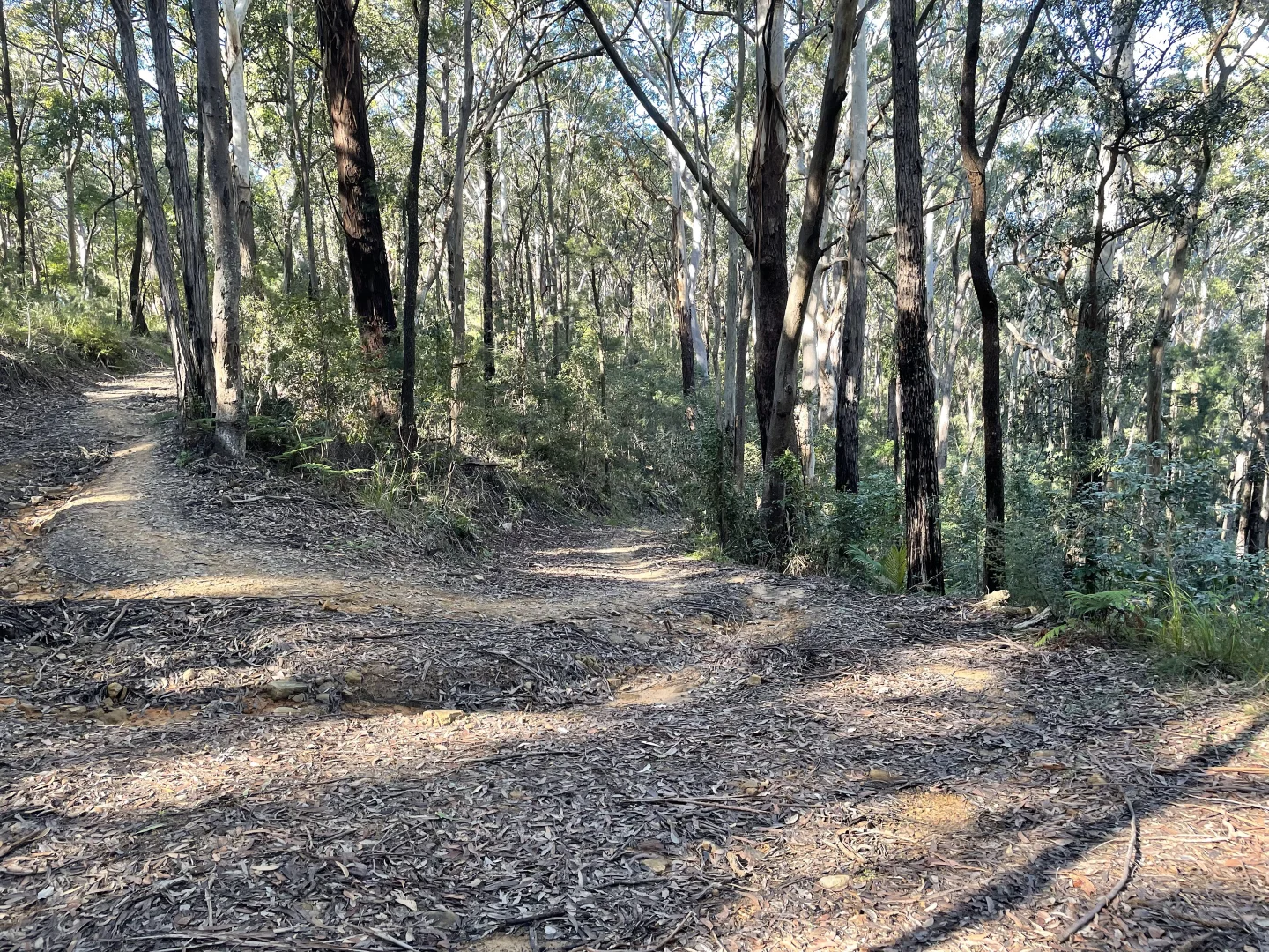 Additional image 8 of 20 James Norton Road, Bensville NSW 2251