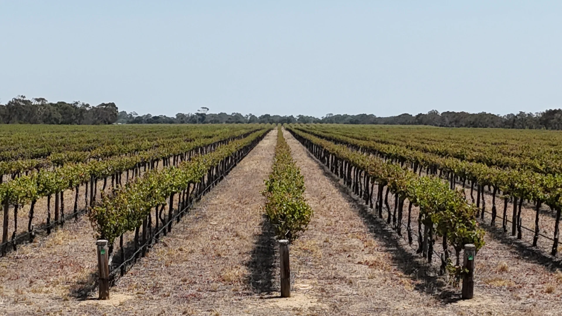 Additional image 9 of 359 Chapel Road, Lake Plains SA 5255