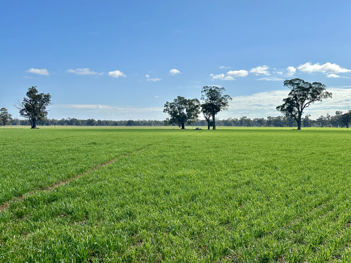 Additional image 4 of 2791 Sturt Highway, Wagga Wagga NSW 2650