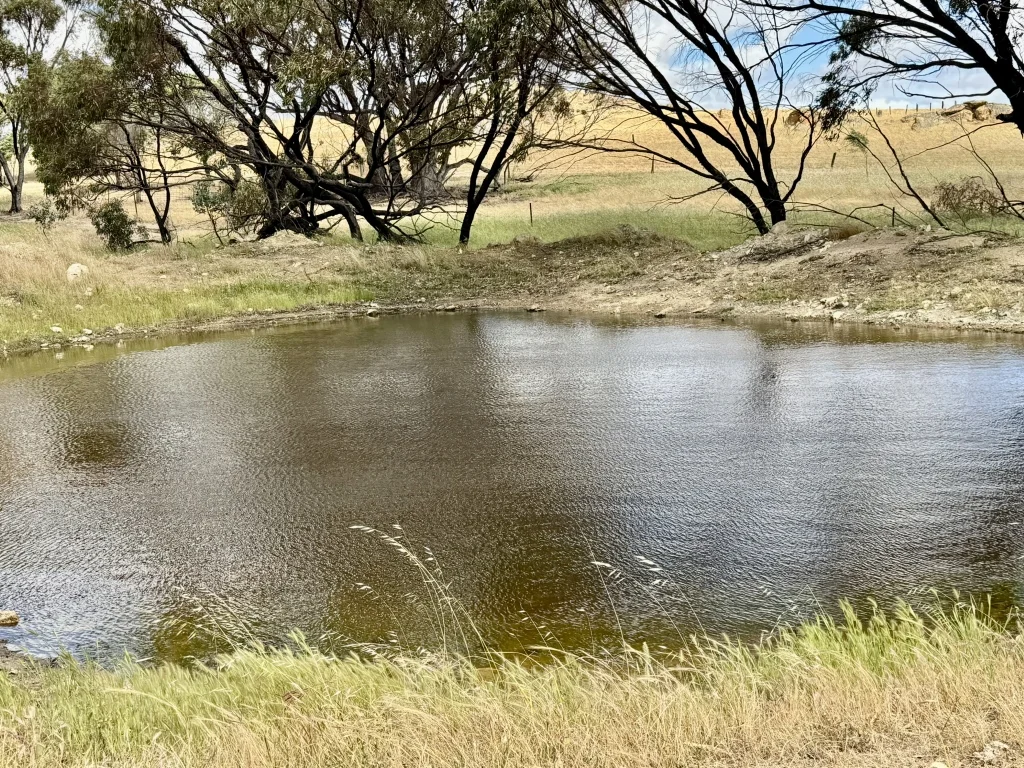 Additional image 23 of Lot 12 Young Road, Gwambygine WA 6302