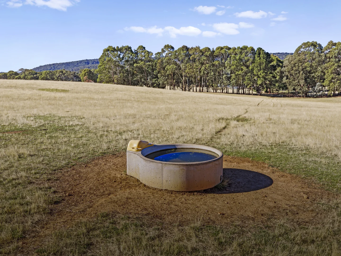 Additional image 6 of 592 Bonnie Doon Road, Boho South VIC 3669