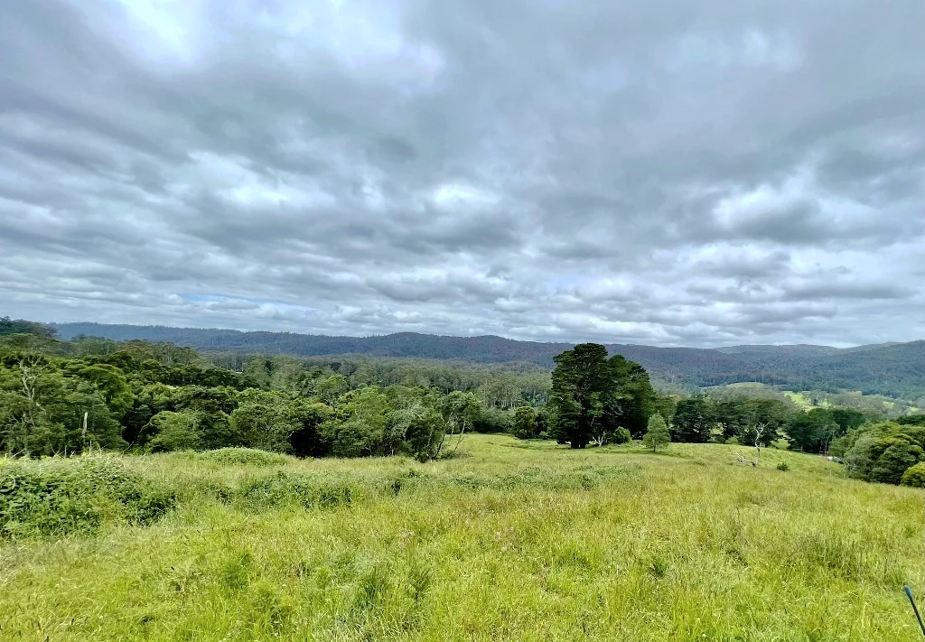 Additional image 9 of 29731 Tasman Highway, Weldborough TAS 7264