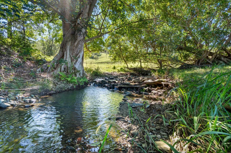 Additional image 11 of Bond Road, King Scrub QLD 4521