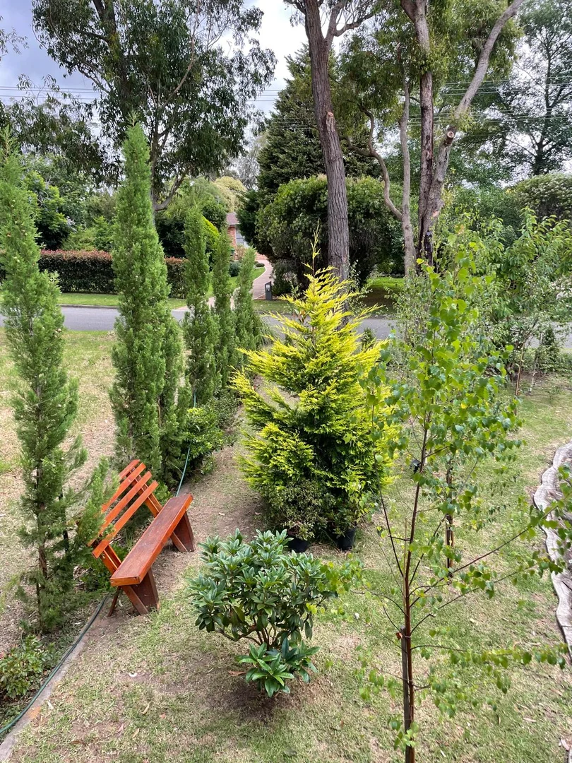 Additional image 14 of 59 Orient Street, Willow Vale NSW 2575