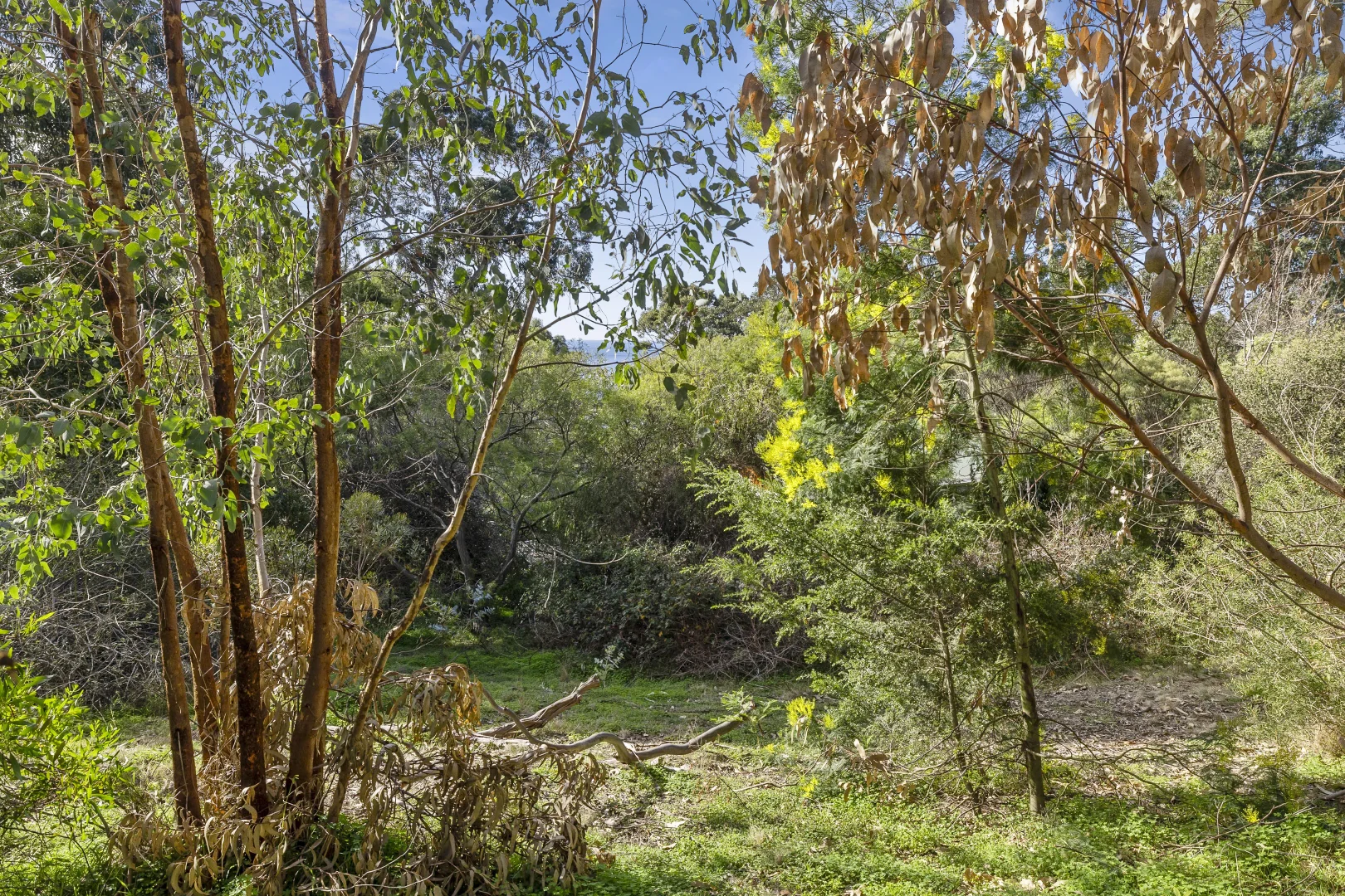 Additional image 10 of 10 Albert Street, Lorne VIC 3232