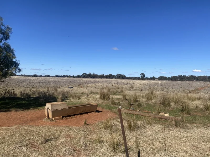 Additional image 16 of 382 Jones Lane, Condobolin NSW 2877