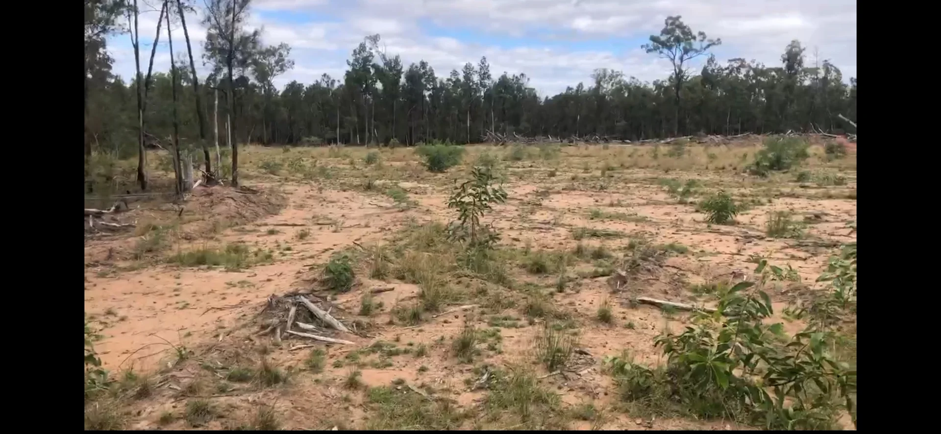 Additional image 5 of 487 Rocky Crescent, Tara QLD 4421