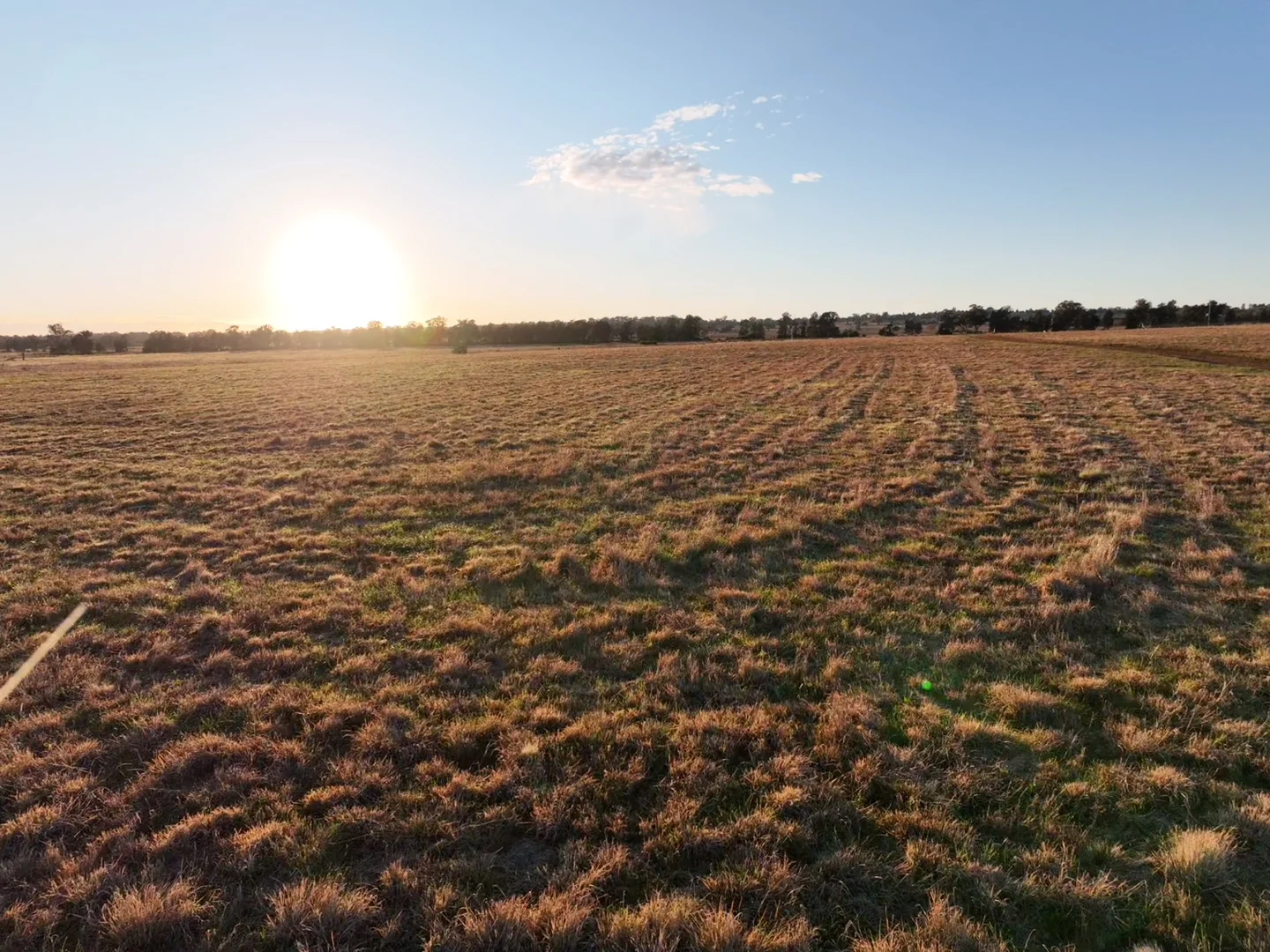 Additional image 15 of Daisy Hill Estate, Eulomogo Road, Dubbo NSW 2830