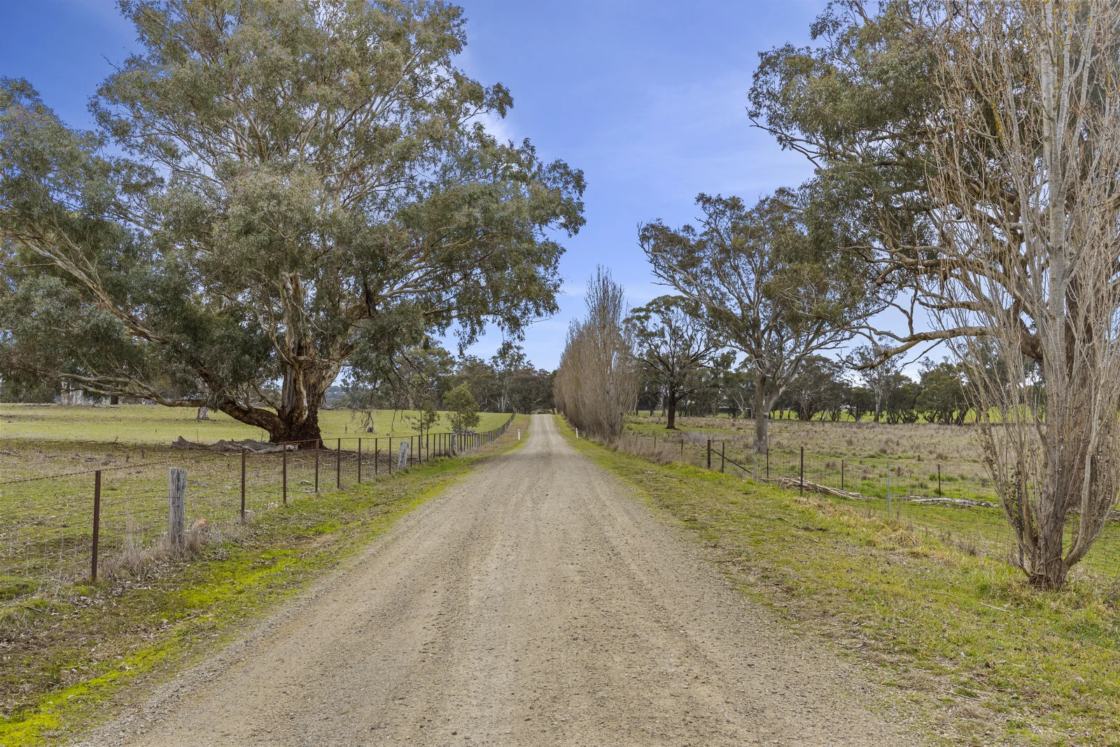 Additional image 3 of 484 Walls Junction Road, Bowning NSW 2582