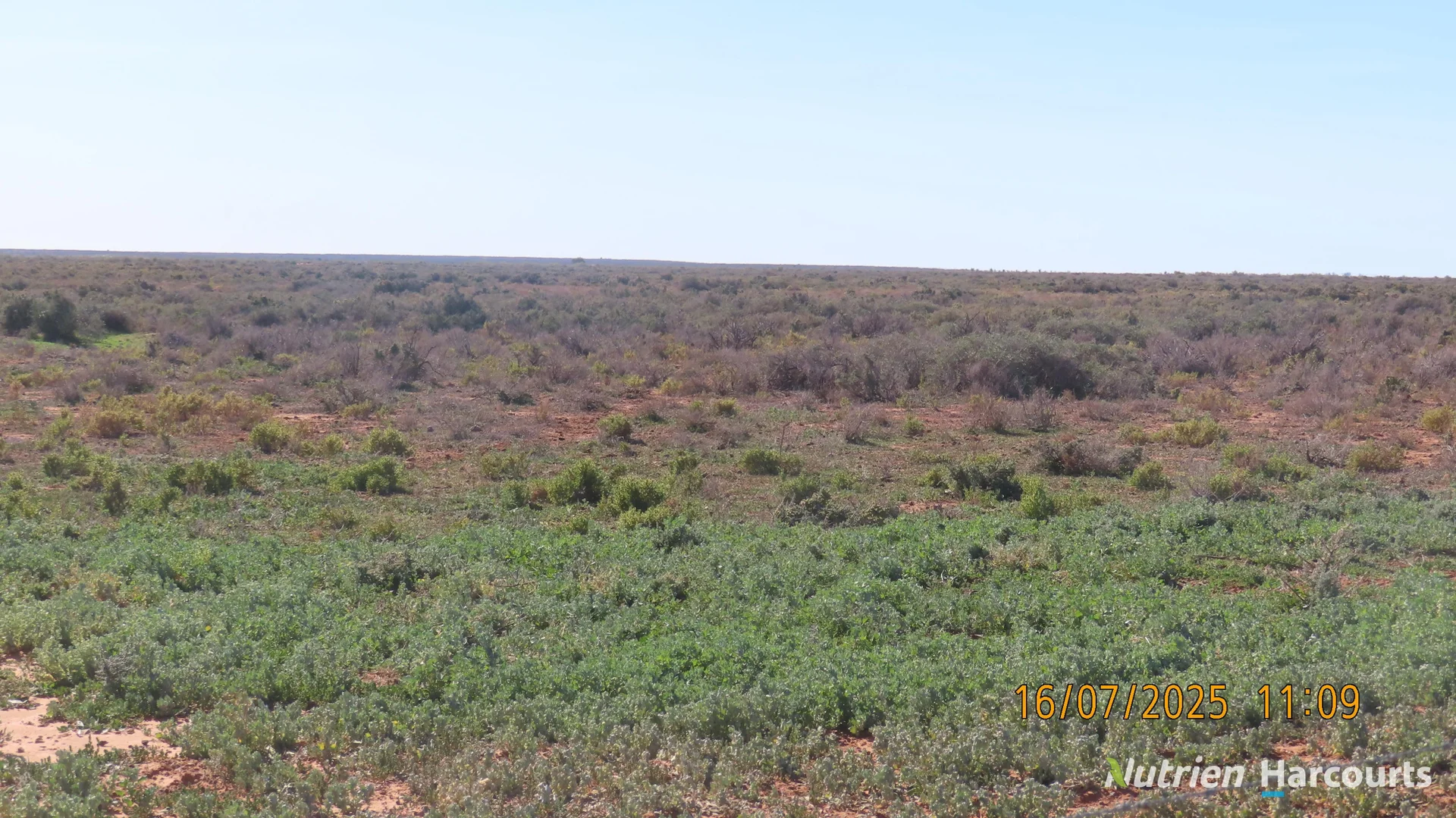 Additional image 12 of * Magenta Aggregation, Balranald NSW 2715