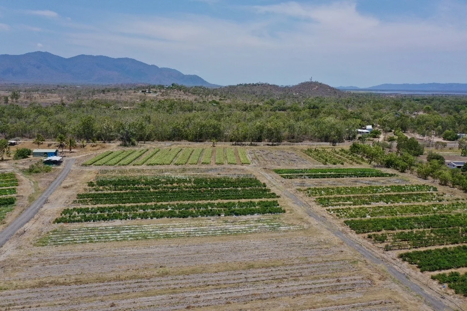 Additional image 4 of 1 Greta Road, Oak Valley QLD 4811