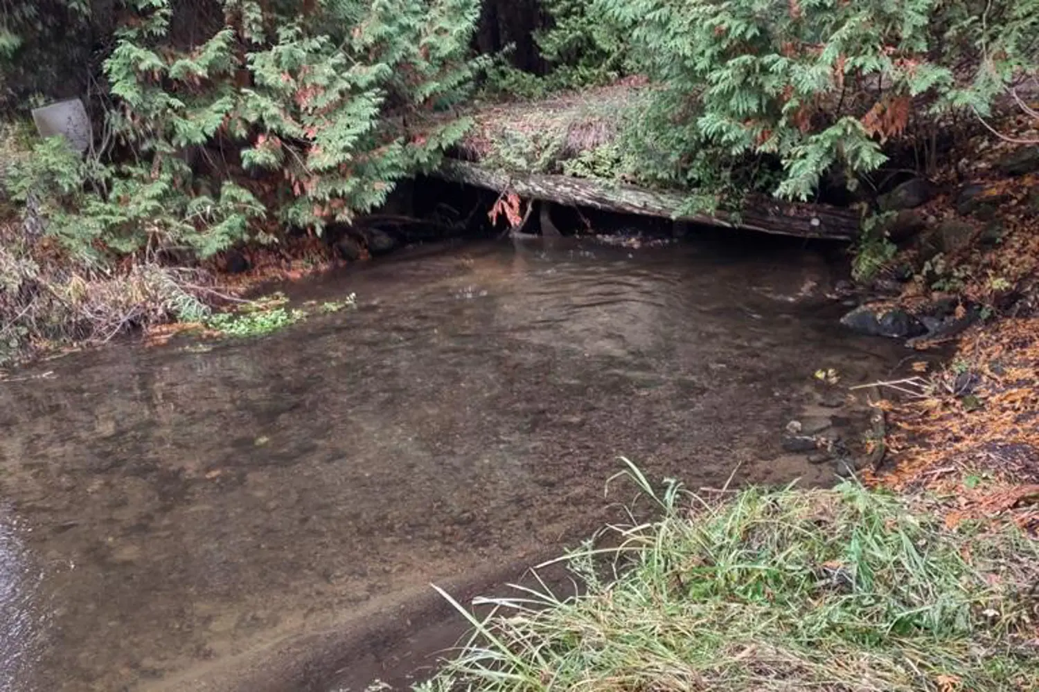 Additional image 5 of 0 Mitchell Road