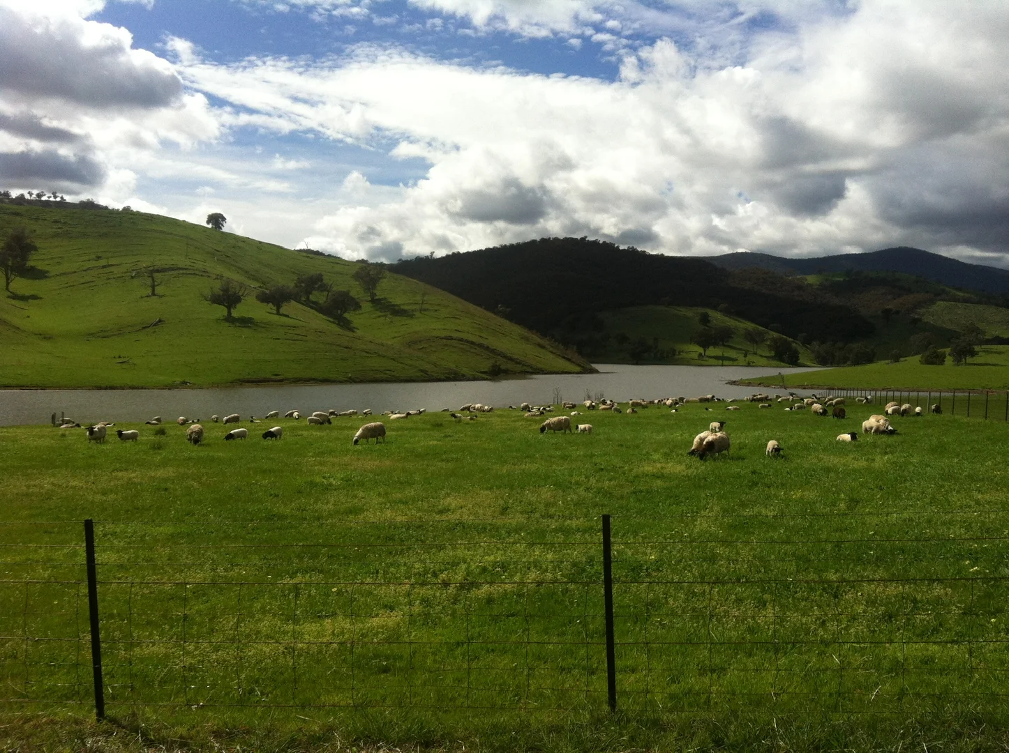 Additional image 26 of 245 Caves Road, Wee Jasper NSW 2582