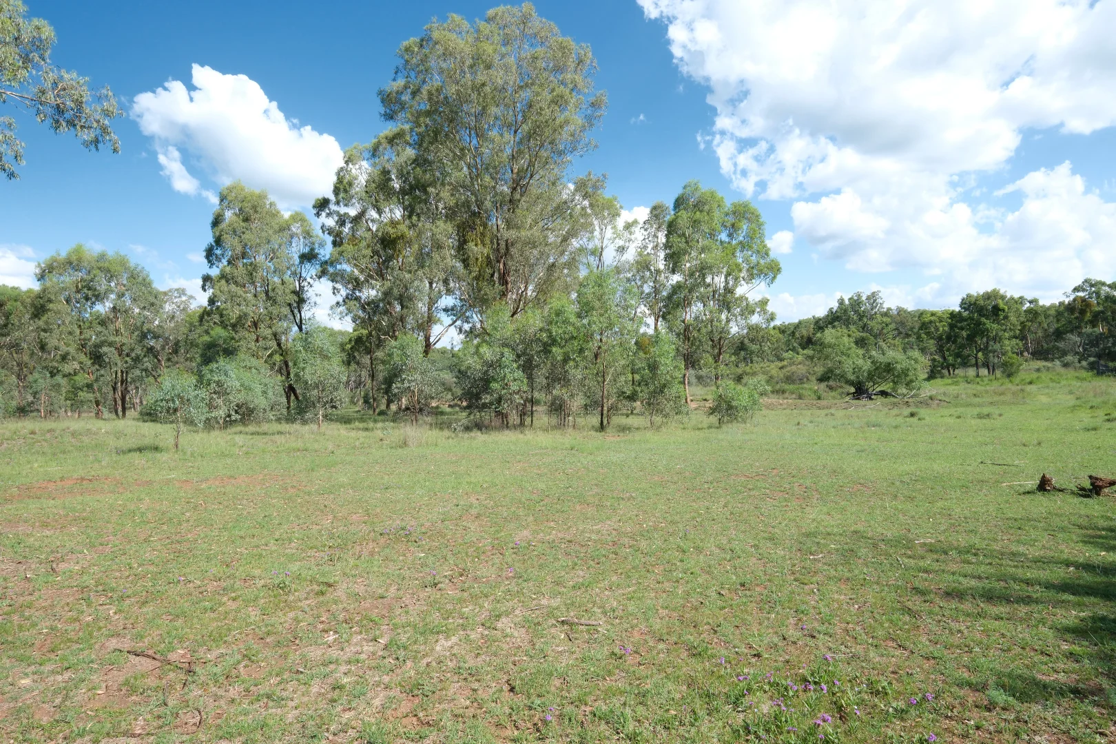 Additional image 4 of 1380 Elsmore Road (Elsmore), Inverell NSW 2360