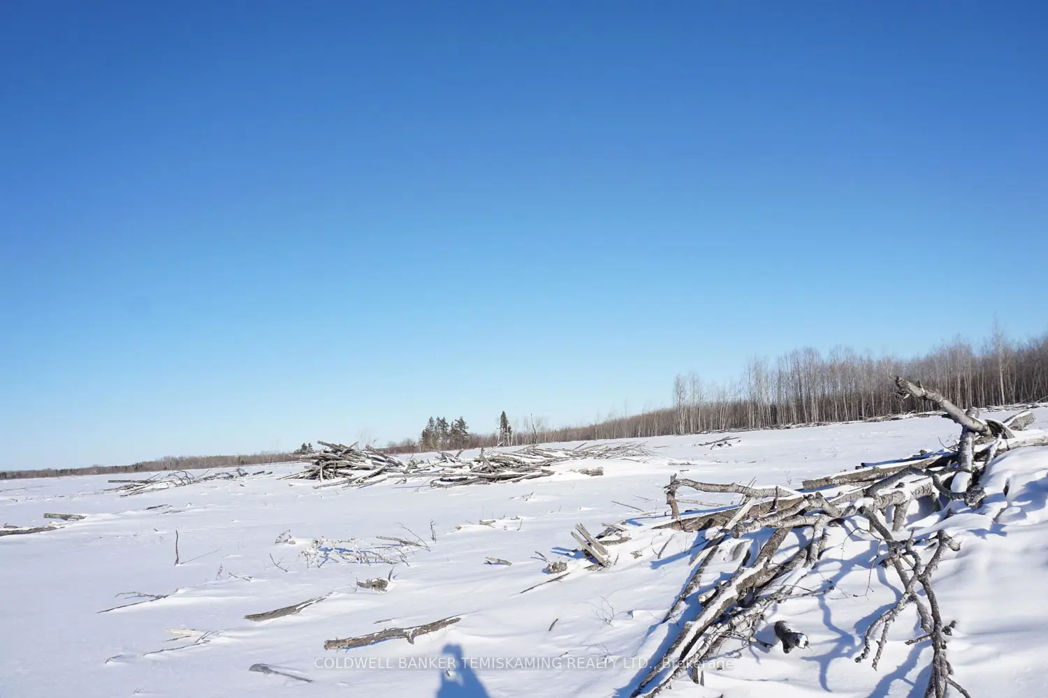 Additional image 8 of 208181 Cabin Road
