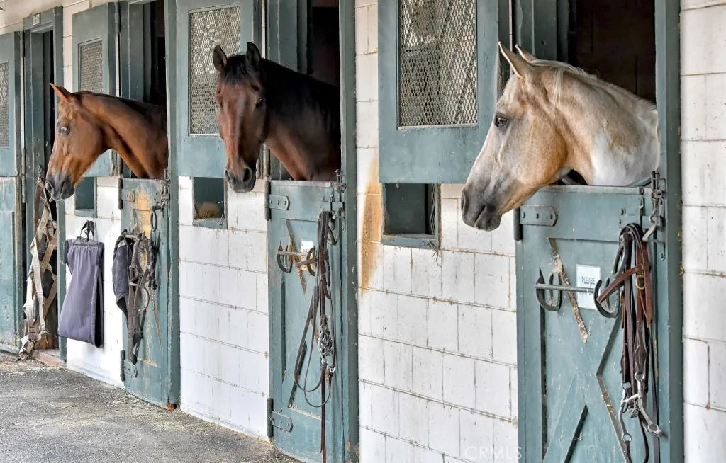 Additional image 78 of 651 Avenida Sevilla Unit D, Laguna Woods, CA 92637