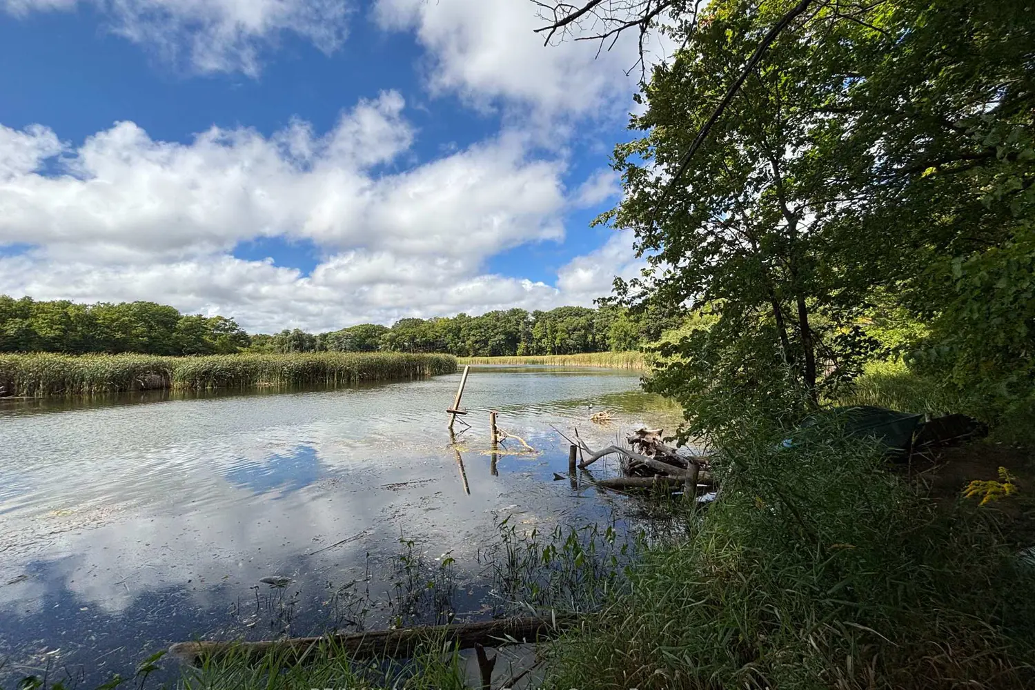 Additional image 12 of 2511 Lakeshore Road 406