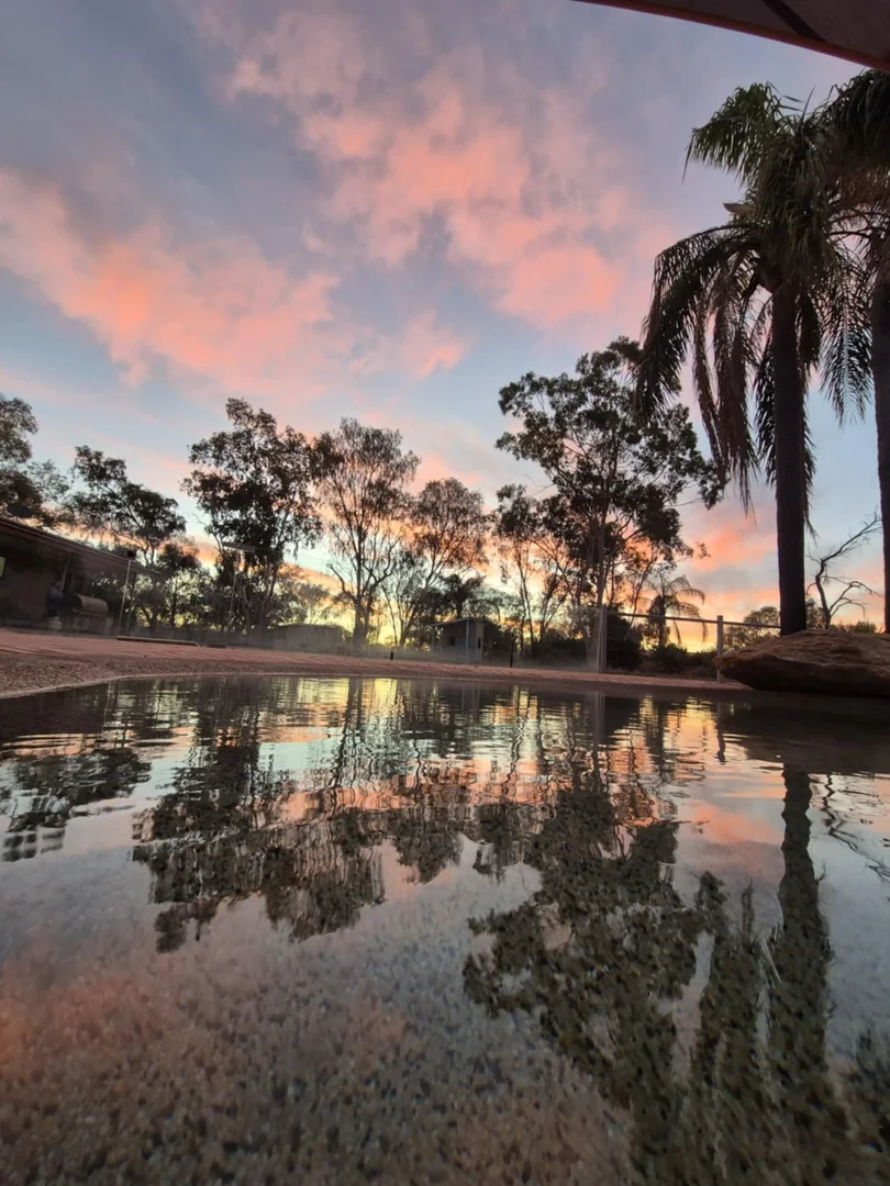 Additional image 46 of 21 Parakeelya Road, Connellan NT 0873