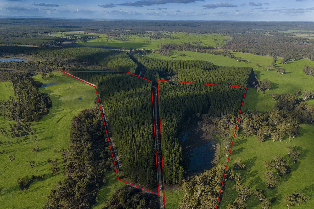 Additional image 8 of 125 Moonlight Road, Killara VIC 3312