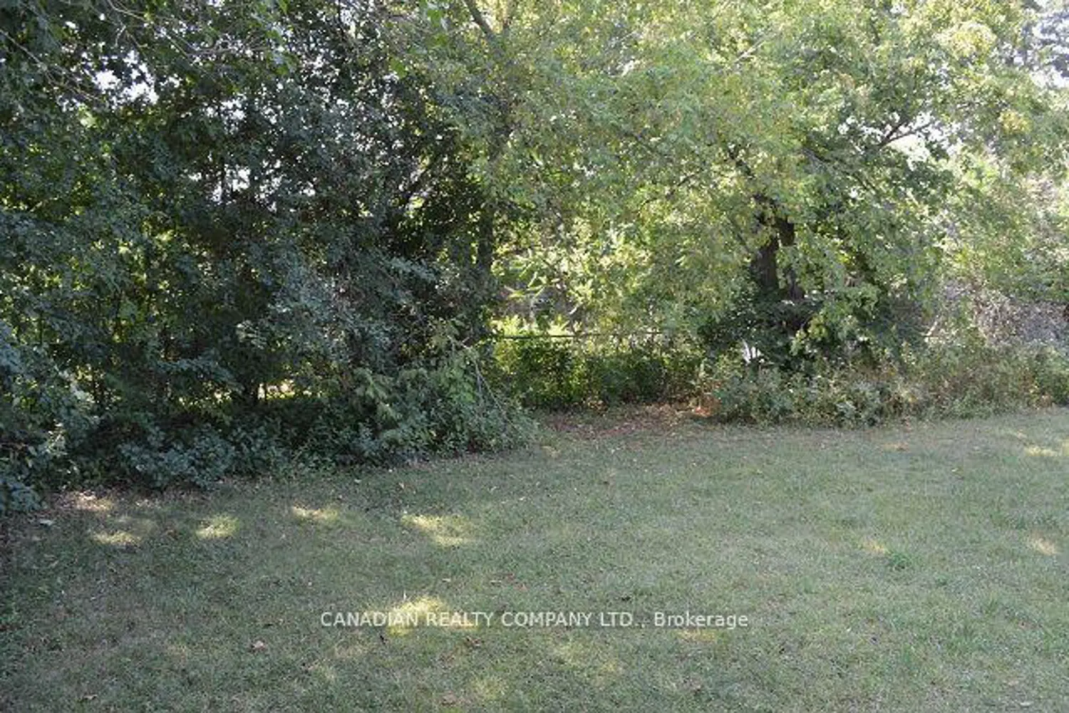 Additional image 13 of 391 Raines Street