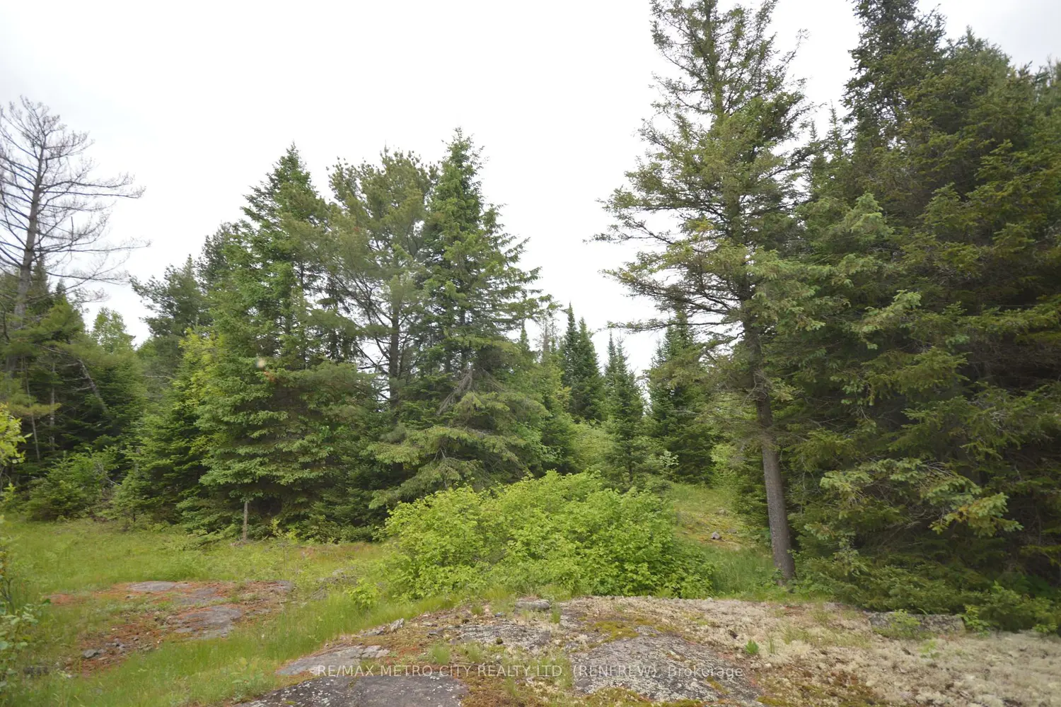 Additional image 7 of 6340 Murphy Road