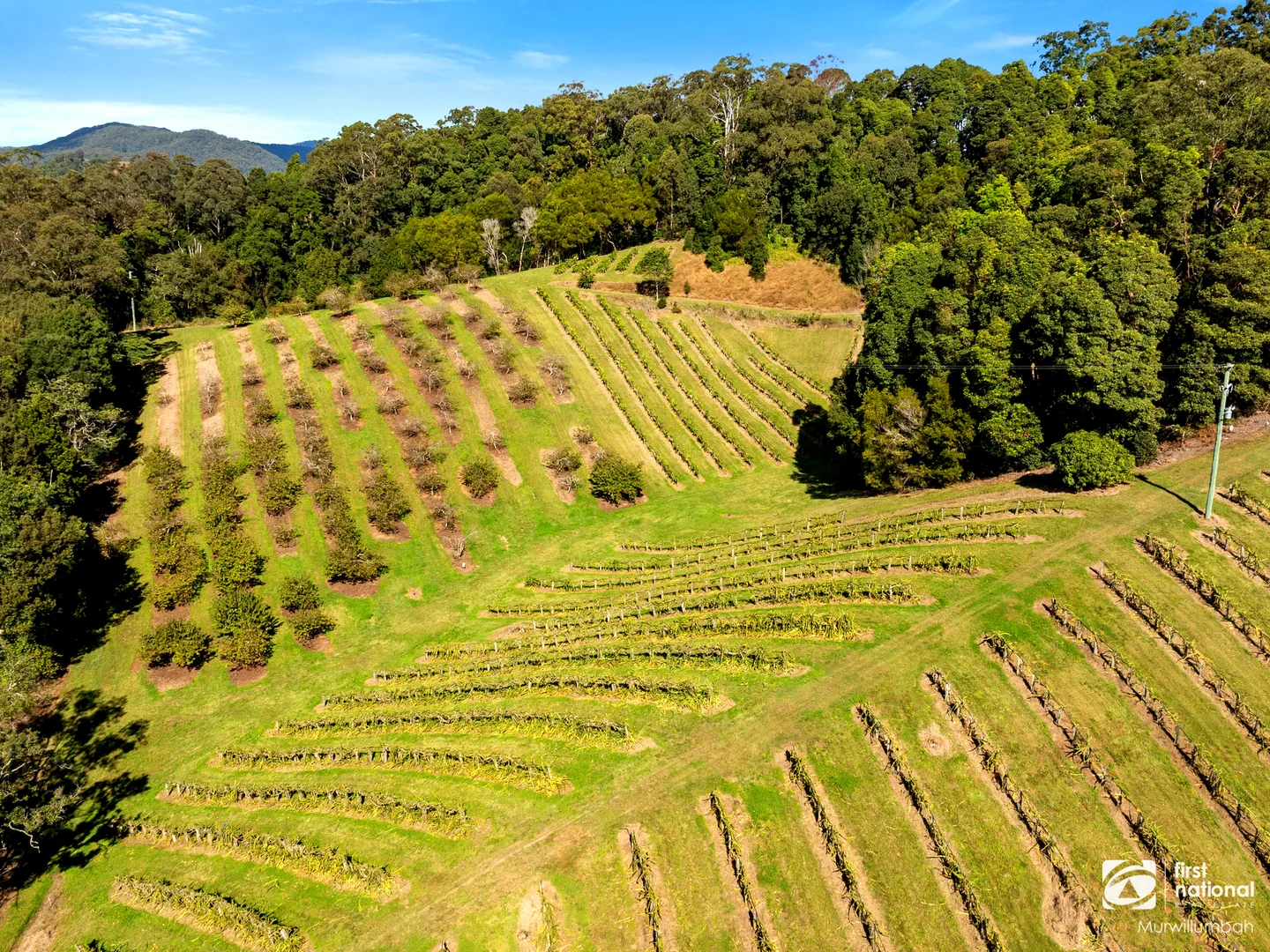 Additional image 30 of 7083 Tweed Valley Way, Dunbible NSW 2484