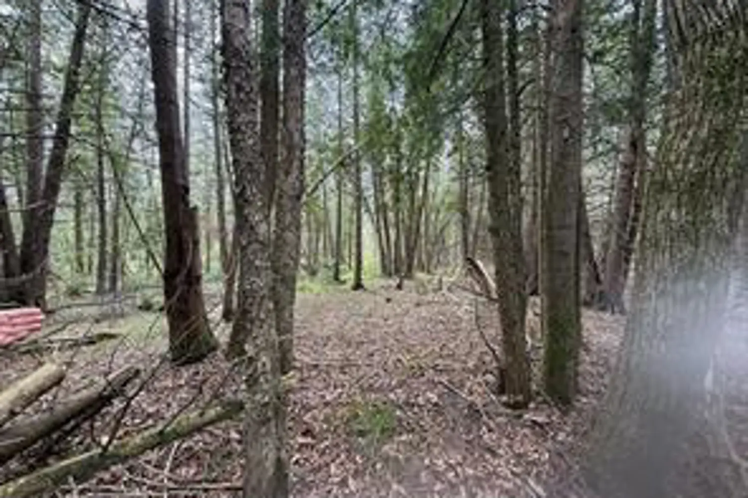 Additional image 4 of 00 Kenyon Acres