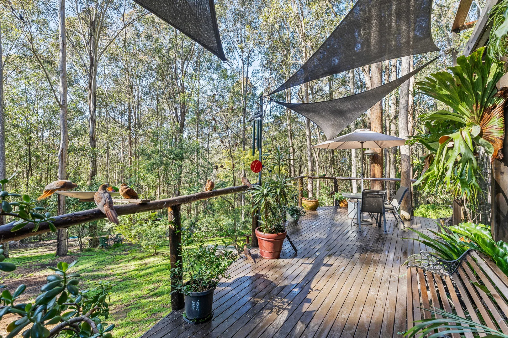 Additional image 13 of 576 Sandy Creek Road, Quorrobolong NSW 2325