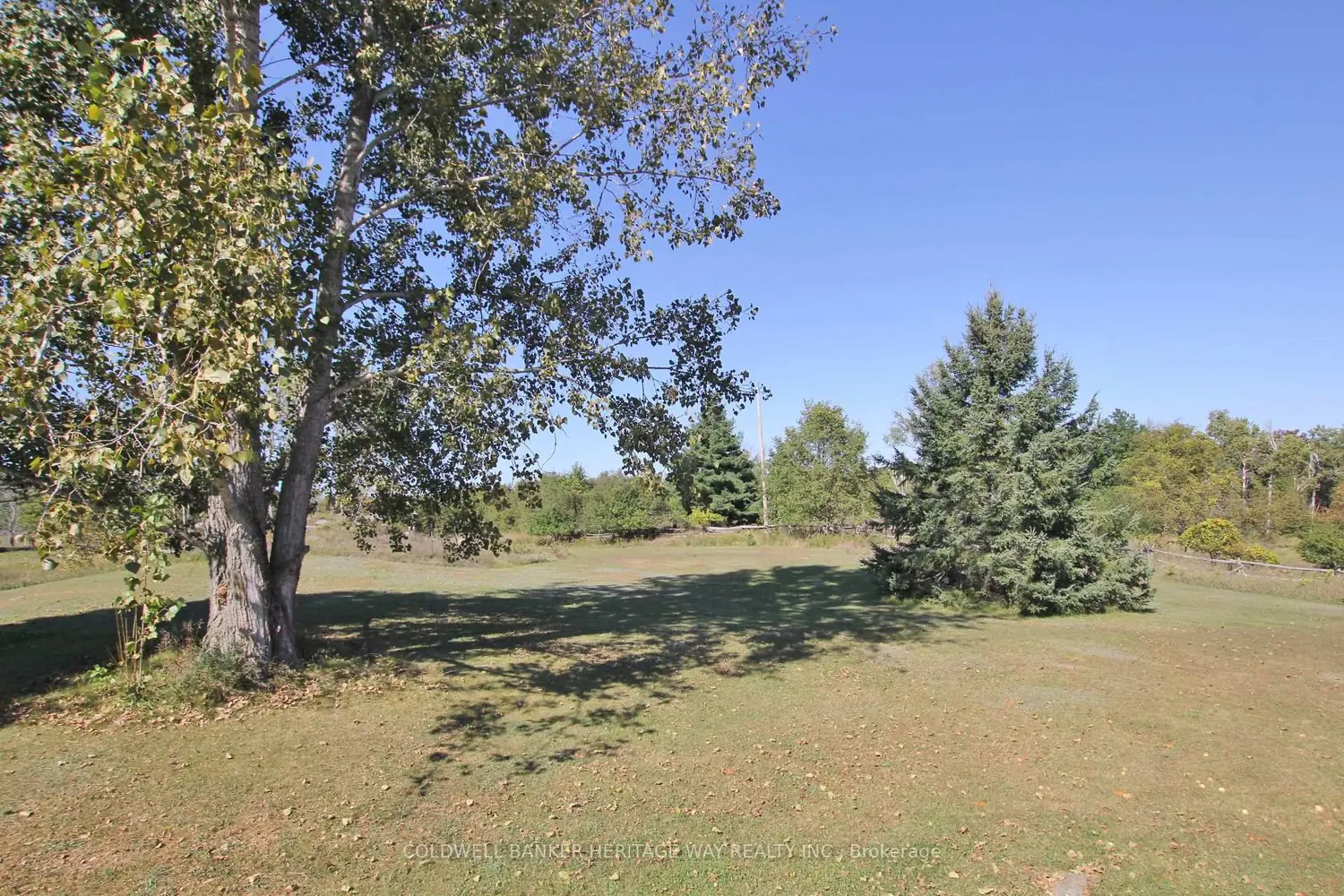 Additional image 16 of 1028 Mitchell Road