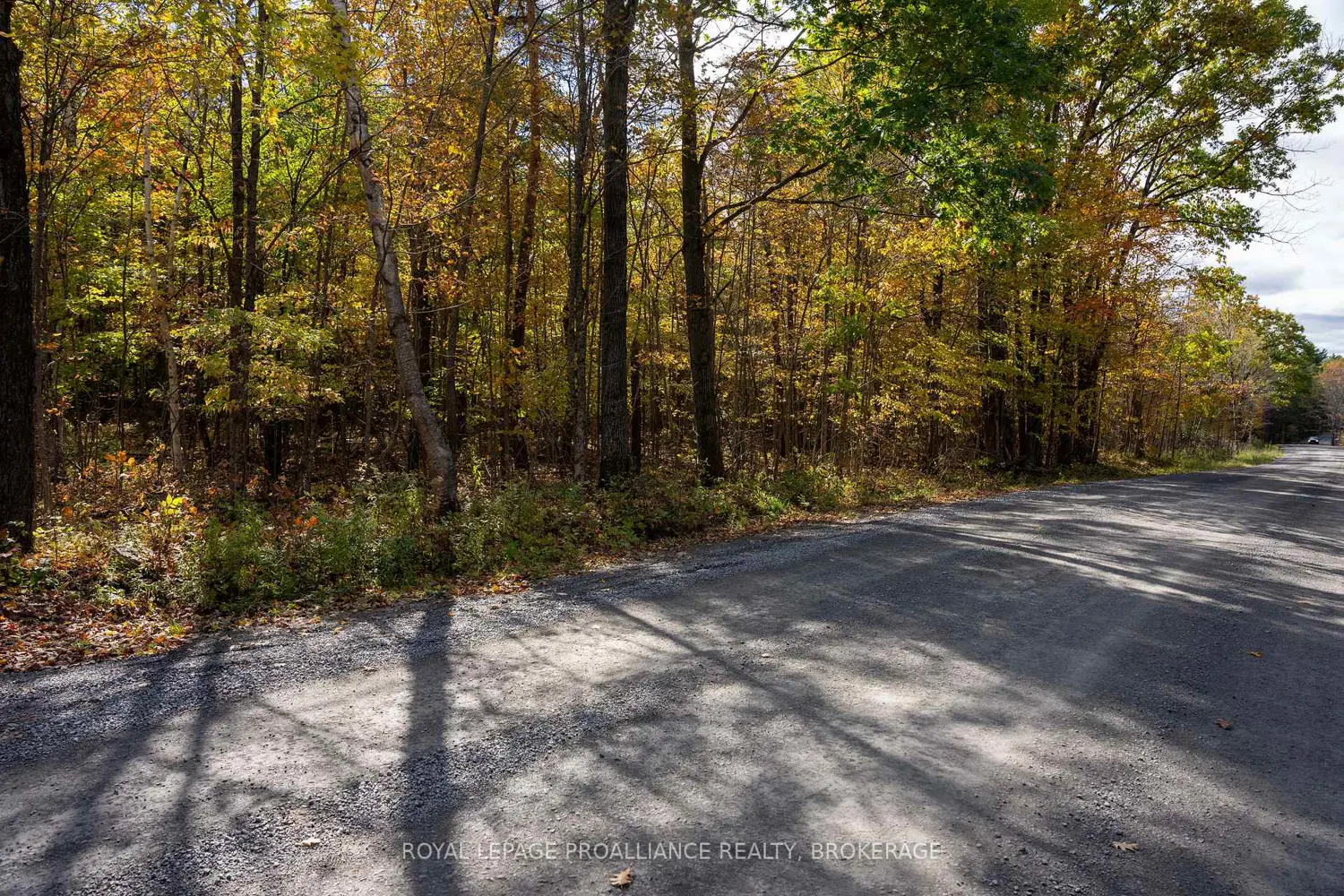 Additional image 9 of Pt Lts 12 & 13 Devil Lake Road