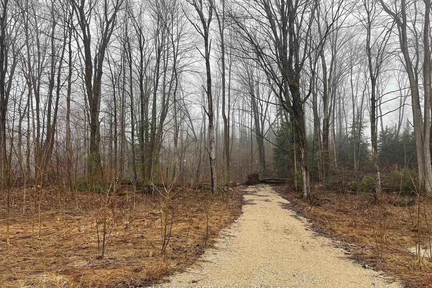 Additional image 9 of Lt 35 Highland Drive