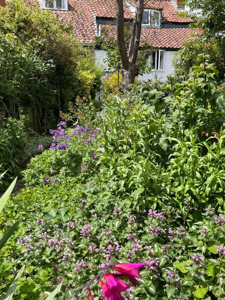 Additional image 17 of 19 Southover, Wells, Somerset, BA5 1UG