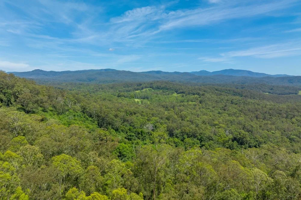 Additional image 7 of 384 Eastern Boundary Road, Rollands Plains NSW 2441