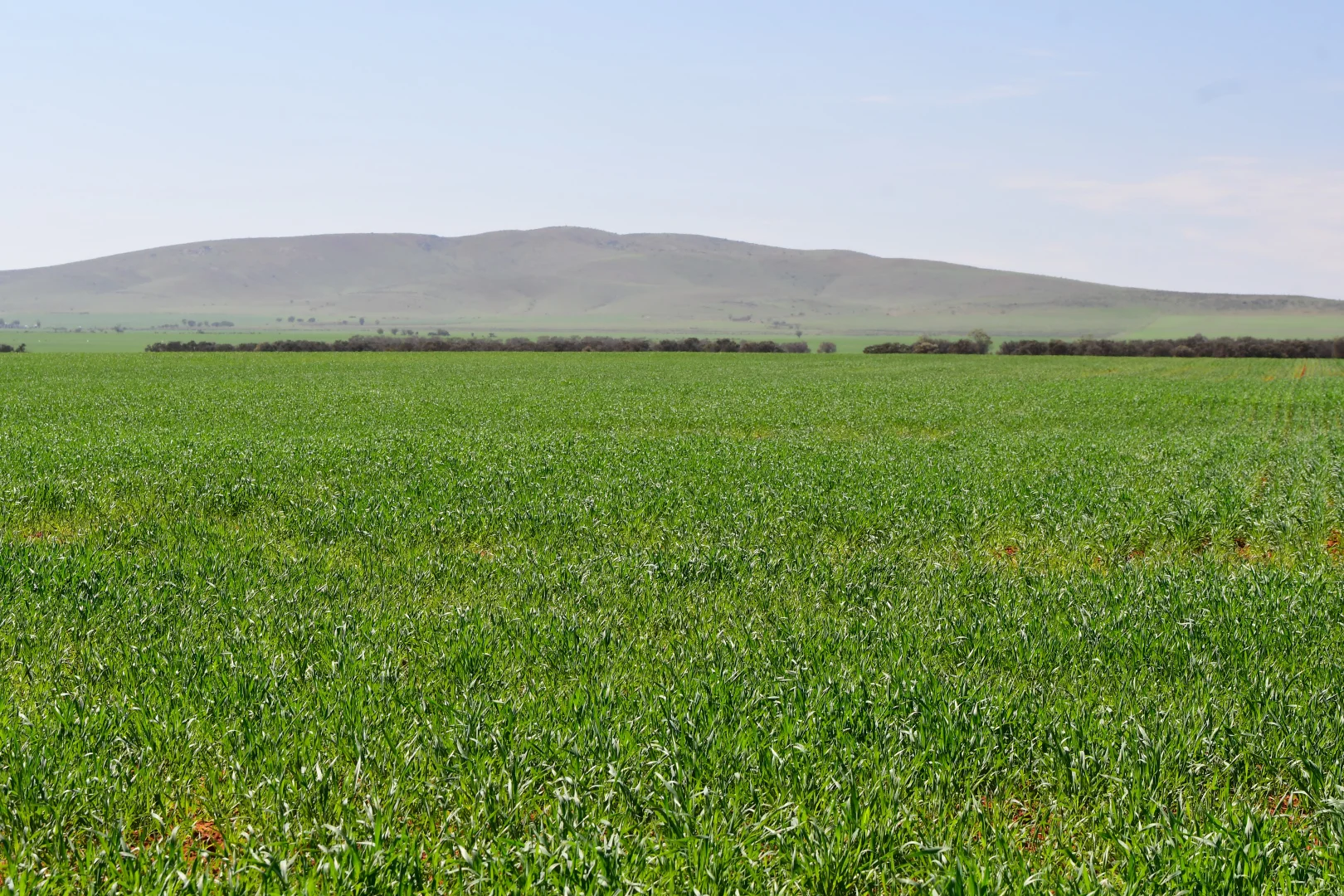 Additional image 2 of SECTION 121 Orroroo Road, Willowie SA 5431