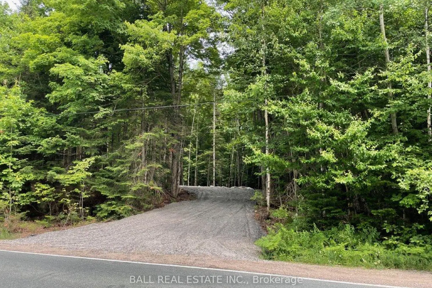 Additional image 9 of 1350 Haliburton Lake Rd