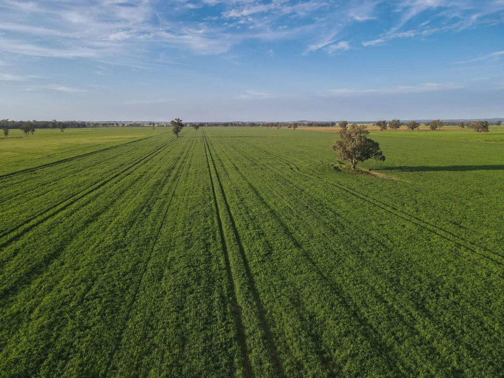 Additional image 2 of Part "Lima" 11025 The Escort Way, Forbes NSW 2871