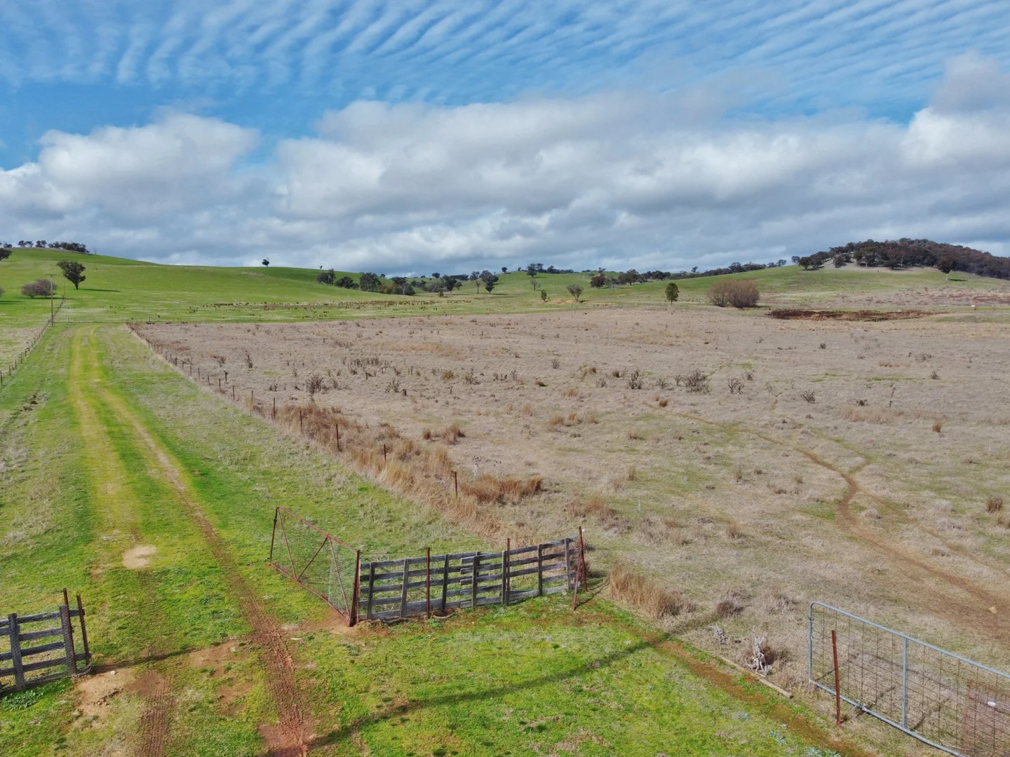 Additional image 8 of 127 Calabash Road, Murringo, via, Young NSW 2594