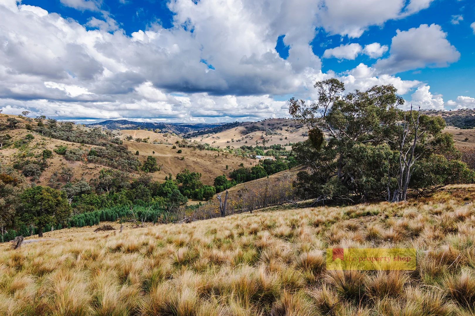 Additional image 18 of 782 Yarrabin Road, Mudgee NSW 2850