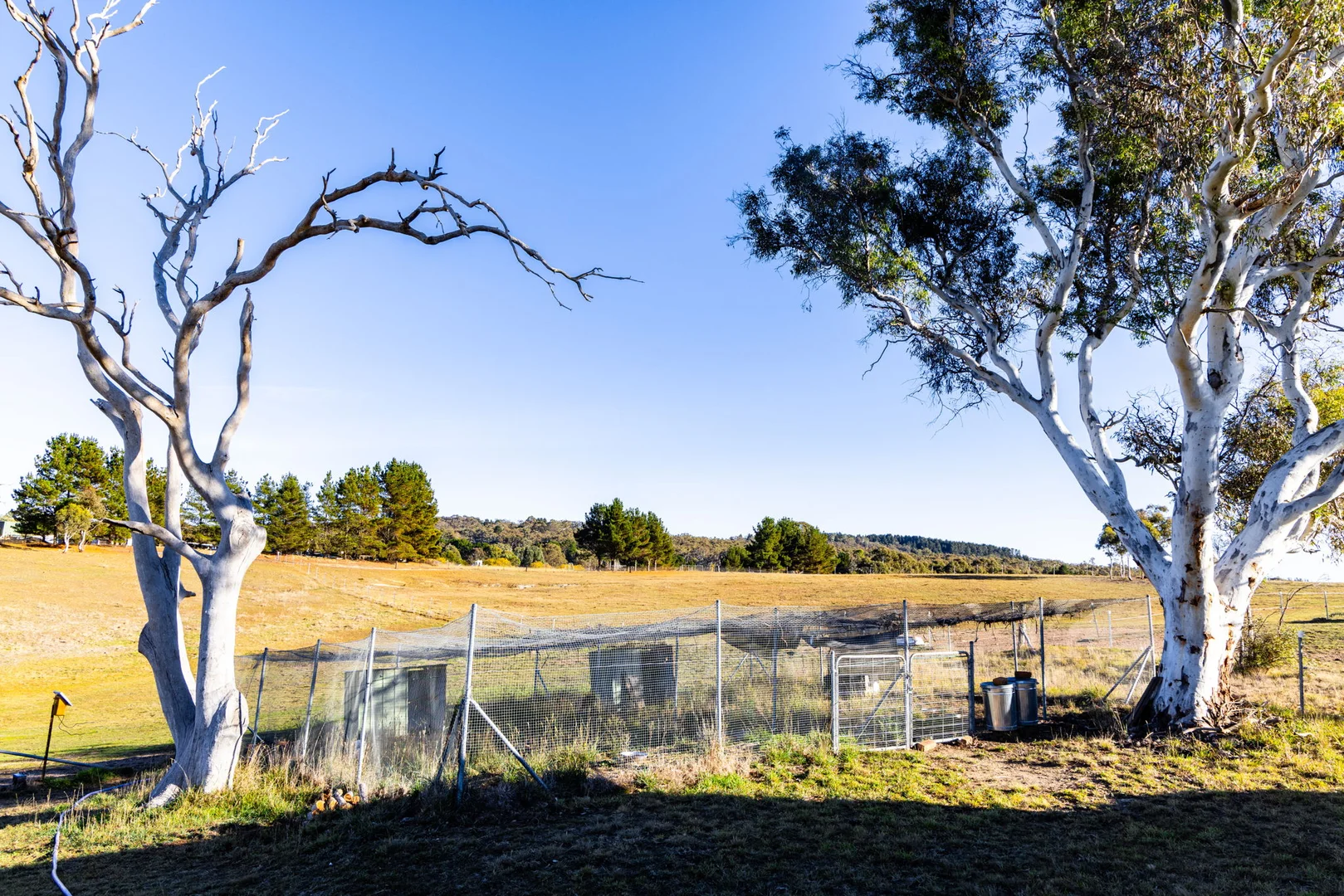 Additional image 30 of 74 Woolshed Lane, Bywong NSW 2621