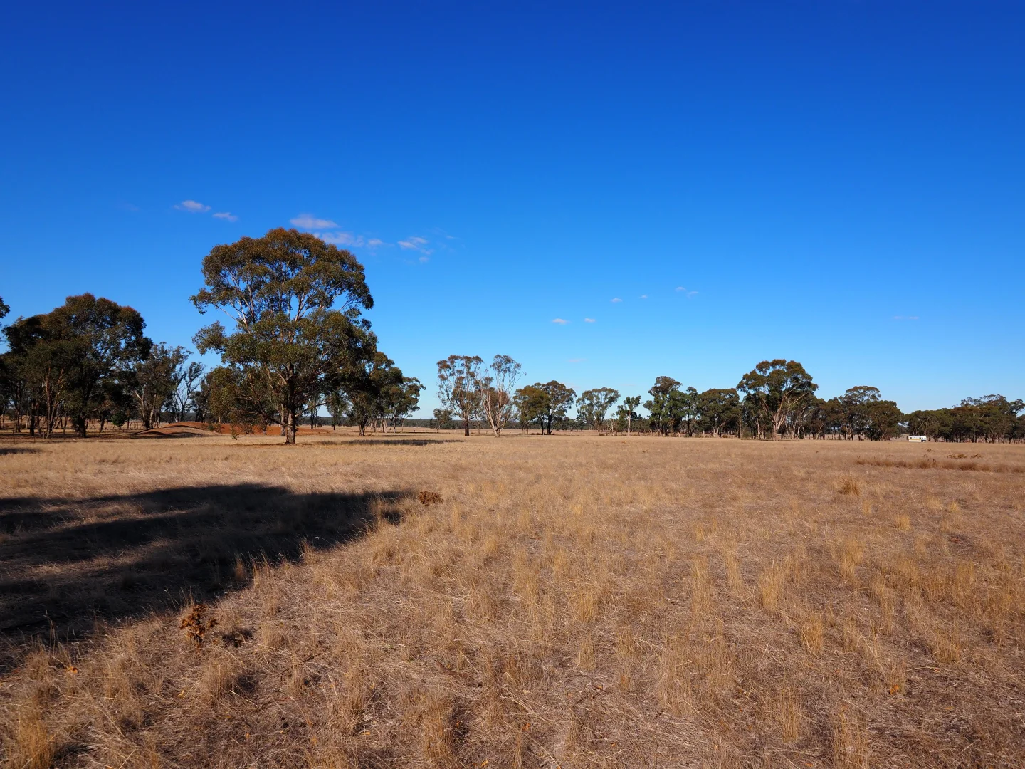 Additional image 5 of 74 Deadhorse Lane, Bowenvale VIC 3465