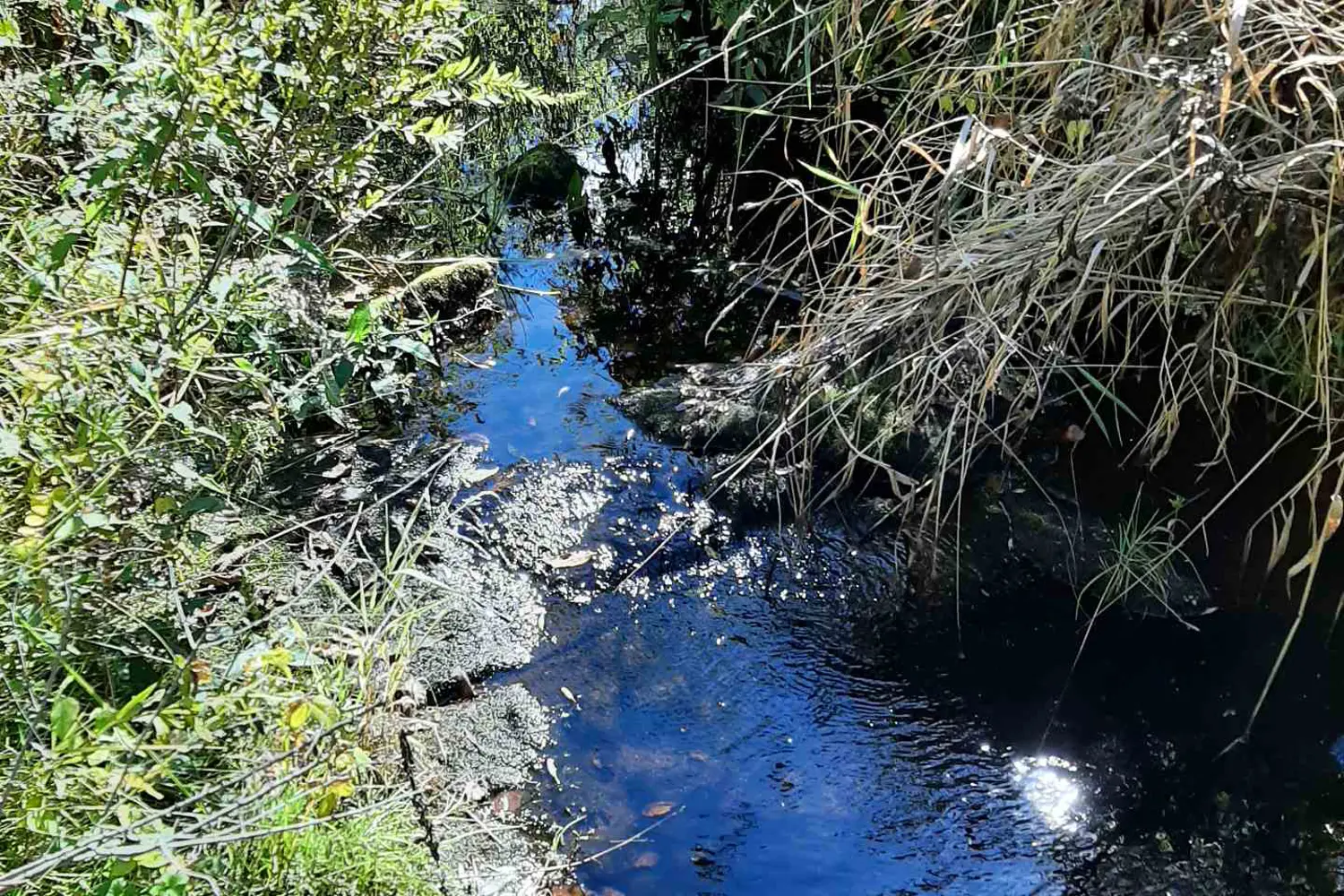 Additional image 4 of 0 Pt Lt12 Con14 Hwy 37 Road