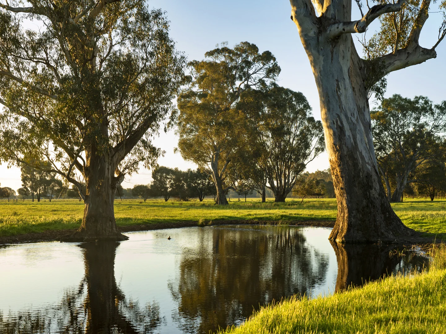 Additional image 7 of 111 Moglonemby Road, Euroa VIC 3666