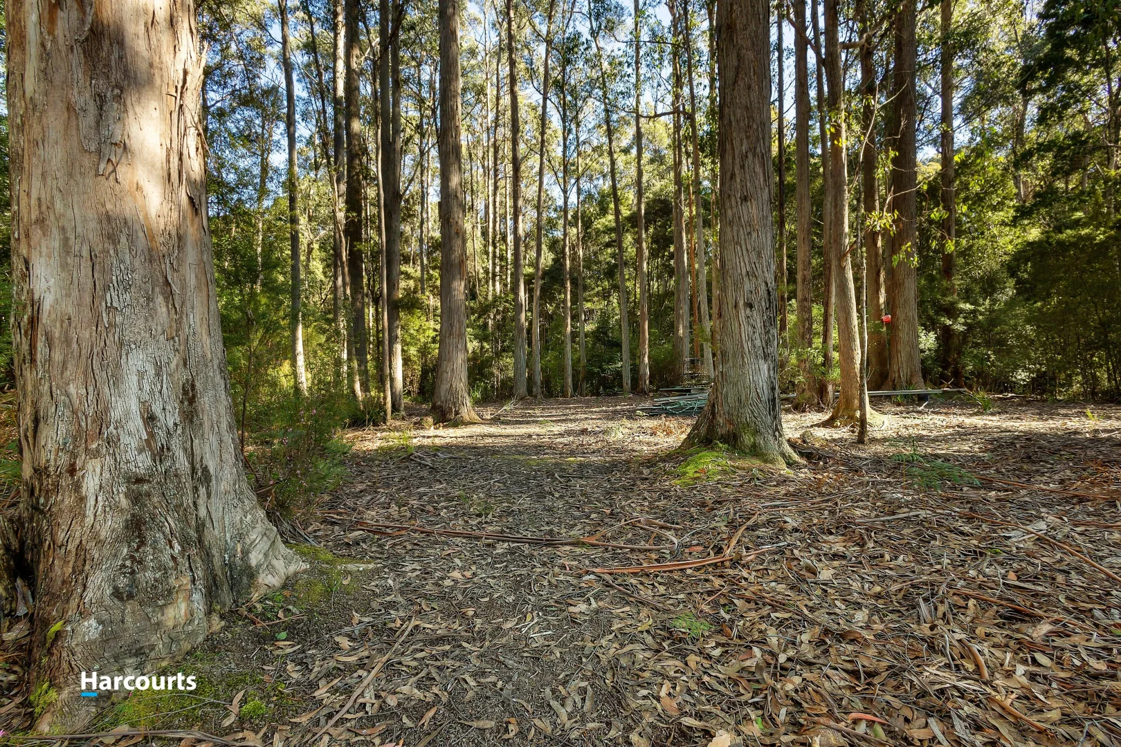 Additional image 7 of 170 Cockle Creek Road, Recherche TAS 7109